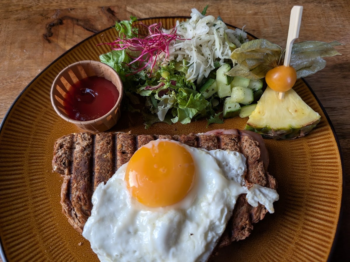 Het Wapen Van Rheden-7